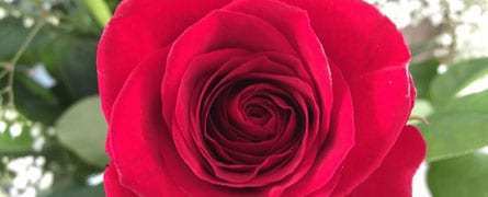 Tips for Your Mother’s Day Marketing Campaign