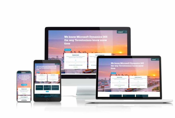 Catapult ERP Dynamics 365 website design by ThinkProfits.com