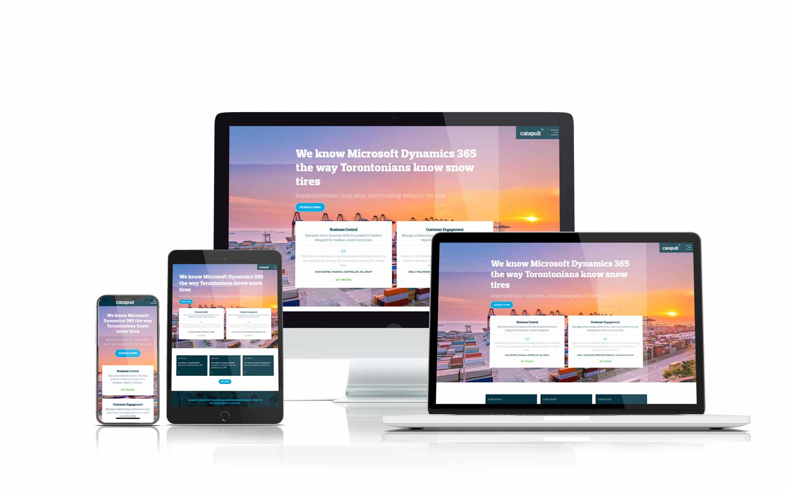 Catapult ERP Dynamics 365 website design